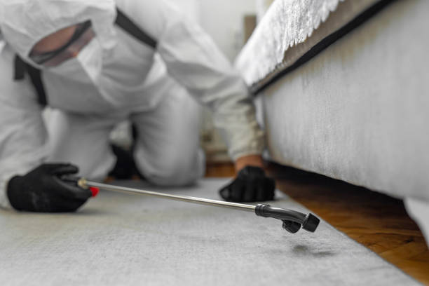 Professional Bed Bug Control technician working in Glenn Heights, TX