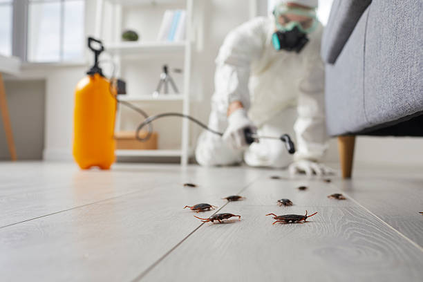 Trusted Fumigation Services service in Glenn Heights, TX - Nex Pest Control